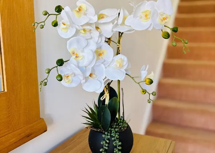 Lakeside Townhouse - Homely & Modern Apartamento Killaloe